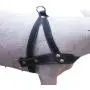 Genuine Black Leather Dog Pulling Walking Harness Medium to Large. 25.5''-31'' Chest, 1.5'' Straps Genuine Black Leather Dog Pulling Walking Harness Medium to Large. 25.5''-31'' Chest, 1.5'' Straps