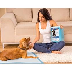 Pooch Pad Protection Training Dog Pads. Thick & Soft, Powerful Absorbent Puppy Pads. The New Deluxe Tech for High-Class Consumers