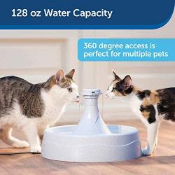 PetSafe Drinkwell 360 Cat and Dog Water Fountain - Automatic Drinking Dispenser for Pets - 128 oz
