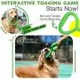 CHZHENG Dog Toothbrush Chew Toys, Teeth Cleaning Care Massager Multifunctional Rubber Interactive Toothbrush Stick for Medium Large Dogs,Green CHZHENG Dog Toothbrush Chew Toys, Teeth Cleaning Care Massager Multifunctional Rubber Interactive Toothbrush Stick for Medium Large Dogs,Green