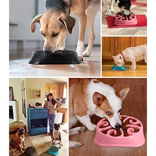KASBAH Slow Feeder Dog Bowl for Large Dogs, AntiGulping Maze Dog Food