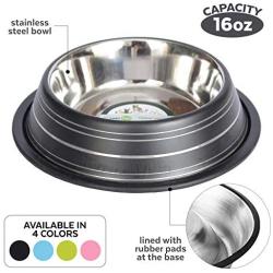 Iconic Pet Color Splash Stripe Non-Skid Pet Bowl, 16-Ounce, Black