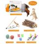 17 Pcs Cat Toys Kitten Toys Assortments, Cat Crinkle Play Mat, Cat Teaser Wand Interactive Toys Cat Springs, Cat Catnip Sticks, Cat Toothbrush, Crinkle Balls for Cat, Puppy, Kitty, Kitten