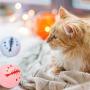 TOULIFLY Pet Cat Ball Toys, Interactive Cat Toy, Cat Toys Balls with Flash Light Ball, Catnip Ball, Interactive Kitten Exercise Bell Ball, Blue, Pink & White Complete Gift Set Party Bundle - 3 Pack