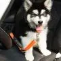 Pet Pet Dog Cat Car Seat Belt Adjustable Harness Seatbelt Lead Leash for Small Medium Dogs Travel Clip Safety Dog Leash 12 Color (Color : Sky Blue)