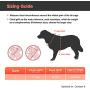 Eagloo Dog Harness No Pull, Pink Walking Pet Harness with 2 Sturdy Mental Rings and Handle Adjustable Reflective Breathable Oxford Soft Vest Easy Control Front Clip Cute Harness Outdoor For Large Dogs