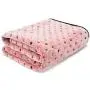 PAWZ Road Pet Dog Blanket Fleece Fabric Soft and Cute 4 Colors 4 Sizes