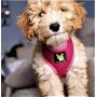 Classic Dog Harness Innovative Mesh No Pull No Choke Design Soft Double Padded Breathable Vest for Eco-Friendly Easy Control Walking Quick Release for Puppies Toy Breeds & Extra-Small Dogs