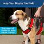 PetSafe EasySport Dog Harness, Adjustable Padded Dog Harness with Control Handle and Reflective Piping