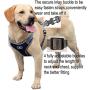 RIDVANVAN Dog Harness and Leash Set No-Pull Pet Harness Adjustable Soft Padded Dog Vest Reflective No-Choke Pet Oxford Vest for Large Dogs One Clip Leash Navy Medium