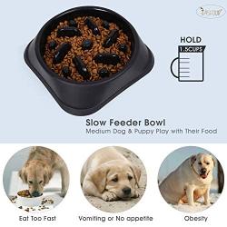 JASGOOD Slow Feeder Dog Bowl with Collapsible Dog Bowl-Puppy Puzzle Dog Food Bowl,Slow Eating Dog Bowl for Medium Dogs