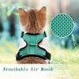 Wisdoman Cat Harness and Leash for Walking, Escape Proof Soft Mesh Adjustable Vest Harnesses for Cats Kitten Dog, Easy Control Breathable Reflective Strips Vest for Small Medium Cats
