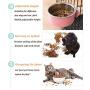 Bettors Pet Crate Bowl for Dog Hanging Pet Feeder Bowl Removable Stainless Steel Cage Hanging Water Food Bowl Dish with Bolt Holder for Pet Dog Cat Bird Puppies