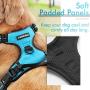 rabbitgoo Dog Harness, No-Pull Pet Harness with 2 Leash Clips, Adjustable Soft Padded Dog Vest, Reflective No-Choke Pet Oxford Vest with Easy Control Handle for Large Dogs, Blue (L, Chest 20.5-36'')