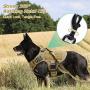 rabbitgoo Dog Harness & Tactical Bungee Dog Leash - Adjustable No Pull Soft Padded Dog Vest with Leash Clips (L) | Safety and Comfort Elastic Leads Rope for Military Dog Training