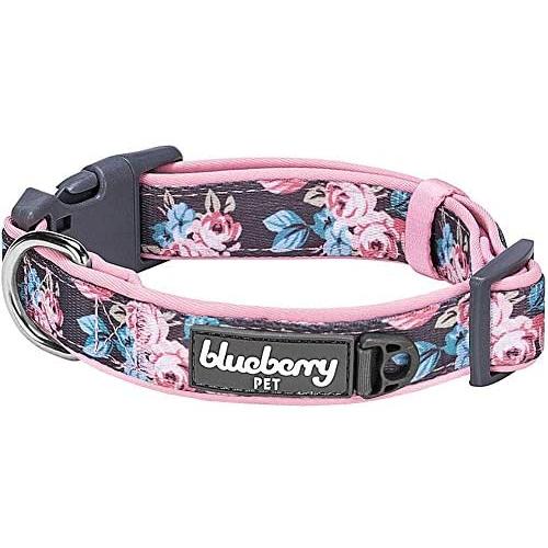 Blueberry Pet 10+ Patterns Soft & Comfy Flower Print Neoprene Padded Dog Collars