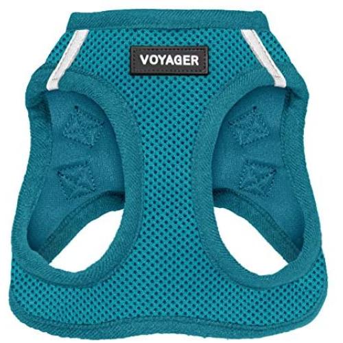 Best Pet Supplies Voyager Step-in Air Dog Harness - All Weather Mesh, Step in Vest Harness for Small and Medium Dogs, Turquoise (Matching Trim), XS (Chest: 13-14.5'') (207-TQW-XS)