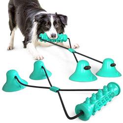 SOLIFEGOBLE Double Suction Cup Dog Toy, Pet Molar Bite Toy with Serrated Molar Stick