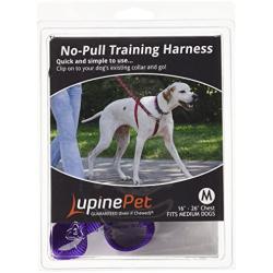 Lupine 3/4 Inch No Pull Harness for Small and Medium Dogs