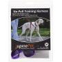 Lupine 3/4 Inch No Pull Harness for Small and Medium Dogs