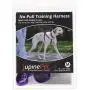Lupine 3/4 Inch No Pull Harness for Small and Medium Dogs Lupine 3/4 Inch No Pull Harness for Small and Medium Dogs