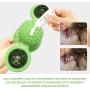 FAIRYLOVE Cat Toys Interactive Chew Toys for Indoor Cats with Led Ball and Mint Balls Funny Kitten Suction Cup Windmill Catnip Toy