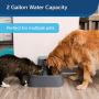 PetSafe Drinkwell 1/2, 1, or 2 Gallon Pet Fountains, Best for Cats, Dogs and Multiple Pets, Adjustable Stream, Fresh Water Dispenser, Easy to Clean Design, 2 Filters Included