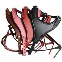 Leather Dog Harness, Felt Padded, Small, Pink, Argentinean Leather (Malibu) For Small breeds. Neck sizes: 7''-14''.Chest sizes: 17''-21''