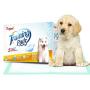 Thxpet Puppy Pads Super Absorbent Leak-Proof 100 Count Dog Pee Training Pads 22 x 23 inch Thxpet Puppy Pads Super Absorbent Leak-Proof 100 Count Dog Pee Training Pads 22 x 23 inch
