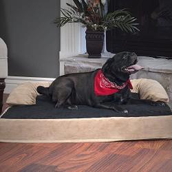 PETMAKER Orthopedic Memory Foam Pet Bed with Bolster