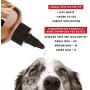 PRIDE AND GROOM - The Sensitive ONE, Bottle of Pet Shampoo, 16 oz.