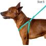 CollarDirect Rolled Leather Dog Harness Small Puppy Step-in Leash Set for Walking Pink Red White Blue Green Black Purple Beige Brown Yellow