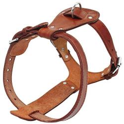 Beirui Genuine Leather Dog Harness Pet Training Walking Harness for Medium Large Dogs Pitbull Boxer Mastiff