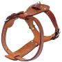 Beirui Genuine Leather Dog Harness Pet Training Walking Harness for Medium Large Dogs Pitbull Boxer Mastiff