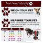 Best Friend Mobility Dog Wheelchair Size: XX-Small