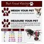 Best Friend Mobility Dog Wheelchair Size: XX-Small Best Friend Mobility Dog Wheelchair Size: XX-Small