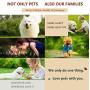 Dog Harness No Pull Pet Harness 3M Reflective Adjustable Outdoor Pet Vest for Dogs, Pet Harness for Small Medium Large Dogs With Dog Rope Dog Harness No Pull Pet Harness 3M Reflective Adjustable Outdoor Pet Vest for Dogs, Pet Harness for Small Medium Large Dogs With Dog Rope