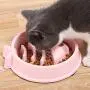 GaoCold Fish Shape Slow Feeder Dog Bowl,Funny Feeder No Chocking Slow Feeder Bloat Stop Dog Food Water Bowl GaoCold Fish Shape Slow Feeder Dog Bowl,Funny Feeder No Chocking Slow Feeder Bloat Stop Dog Food Water Bowl