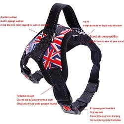 Pet Supplies No Pull Dog Harness with 5 FT Strong Dog Leash and 1 Roll Poop Bag, Adjustable Straps, Breathable Adjustable Comfort for Walking Training Running (L (Chest: 24.8-30.3''))
