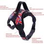 Pet Supplies No Pull Dog Harness with 5 FT Strong Dog Leash and 1 Roll Poop Bag, Adjustable Straps, Breathable Adjustable Comfort for Walking Training Running (L (Chest: 24.8-30.3''))
