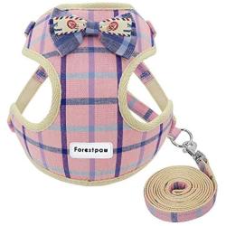 Forestpaw Adjustable Pet Mesh Vest Harness with Leash for Puppy Small Medium Dog and Cat Pink/Blue,S/M,Poodle,Chihuahua,Jack Russell,Pug