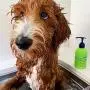 Underwater Dogs - Moisturizing Puppy Shampoo & Conditioner for Dry Skin - 8.4 fl. oz. Vanilla-Coconut Underwater Dogs - Moisturizing Puppy Shampoo & Conditioner for Dry Skin - 8.4 fl. oz. Vanilla-Coconut