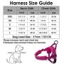 SlowTon No Pull Small Dog Harness and Leash, Heavy Duty Easy for Walk Vest Harness Soft Padded Reflective Adjustable Puppy Harness Anti-Twist Pet Lead Quick Fit for Small Dog Cat Animal