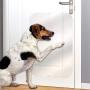 Door Scratch Protector, Door Scratch Shield, Frame and Wall Protection, Clear Pet Scratch Protector for Interior and Exterior Use, 40cm x 91.44cm / 16in x 36in