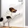 Door Scratch Protector, Door Scratch Shield, Frame and Wall Protection, Clear Pet Scratch Protector for Interior and Exterior Use, 40cm x 91.44cm / 16in x 36in