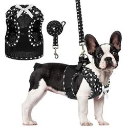 PUPTECK Puppy Harness and Leash Set for Small Dogs Cats - Soft Mesh Adjustable No Pull Dog Vest Harness with Cute Polka Dot and Bowknot