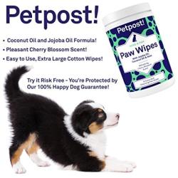 Petpost | Paw Wipes for Dogs - Cleans and Soothes Itchy Dog Paws - 70 Ultra Soft Large Cotton Pads in Coconut Oil, Jojoba Oil, and Aloe Cleaner