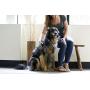 PetWell Massaging Groomer De-Shedding Brush for All Size Pets (Dogs, Cats) with Short or Long Hair