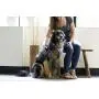 PetWell Massaging Groomer De-Shedding Brush for All Size Pets (Dogs, Cats) with Short or Long Hair PetWell Massaging Groomer De-Shedding Brush for All Size Pets (Dogs, Cats) with Short or Long Hair