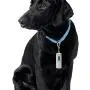 Real Simple Dog Poop Bag Dispenser with Flash Light 3 Rolls and Carabiner Hook Real Simple Dog Poop Bag Dispenser with Flash Light 3 Rolls and Carabiner Hook